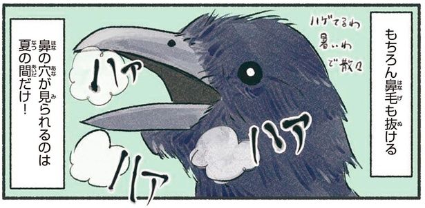 鼻の穴が見られるのは夏の間だけ！ （C）piro piro piccolo／KADOKAWA