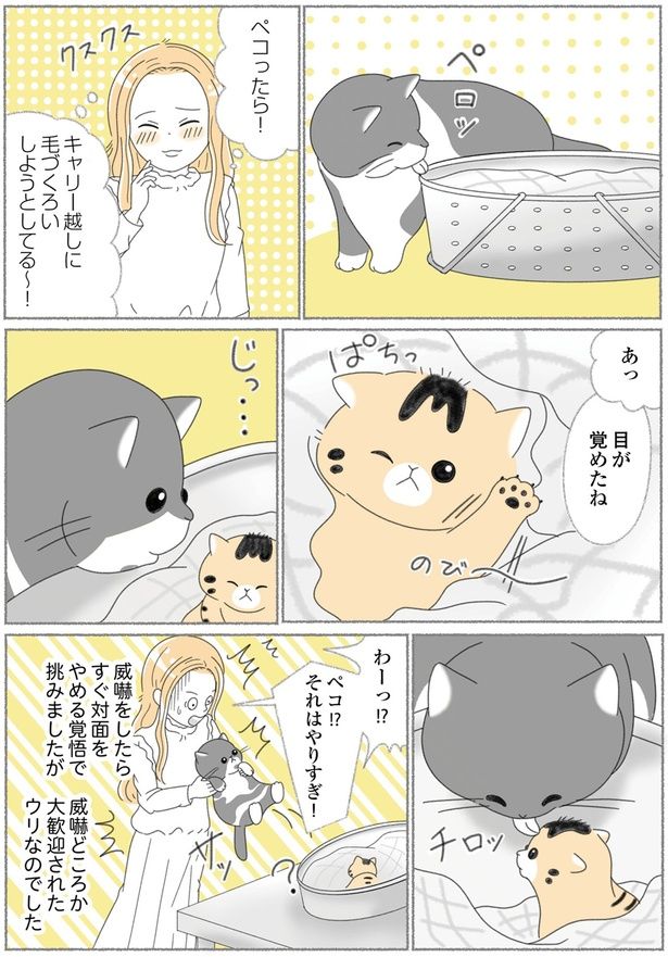 目が覚めたね （C）ゆきよみ、にゃんかつ／KADOKAWA