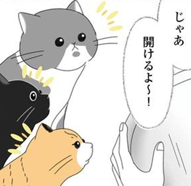 開けるよ～！ （C）ゆきよみ、にゃんかつ／KADOKAWA