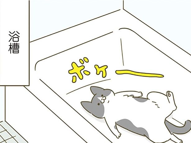 ボケ～～ （C）卵山玉子／KADOKAWA
