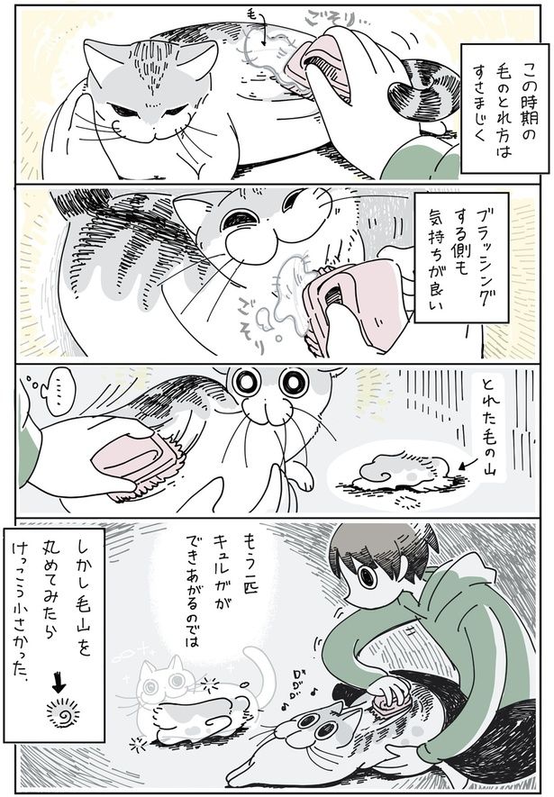 もう一匹できあがるのでは （C）キュルZ／KADOKAWA