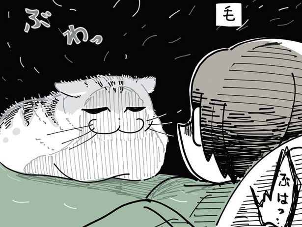 換毛期 （C）キュルZ／KADOKAWA
