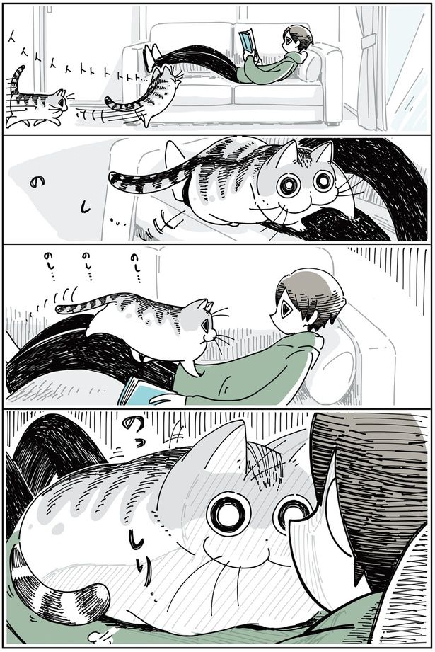 抜け毛の時期のネコ （C）キュルZ／KADOKAWA