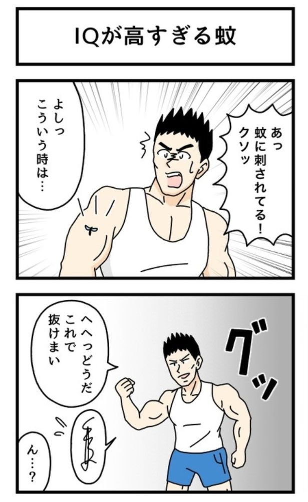 IQが高すぎる蚊1-1 画像提供：のぞみわたるさん
