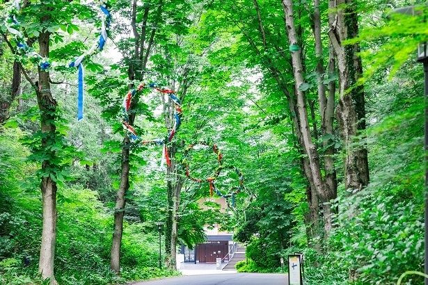 エントランスロード「メッツァティエ」を花冠が飾る