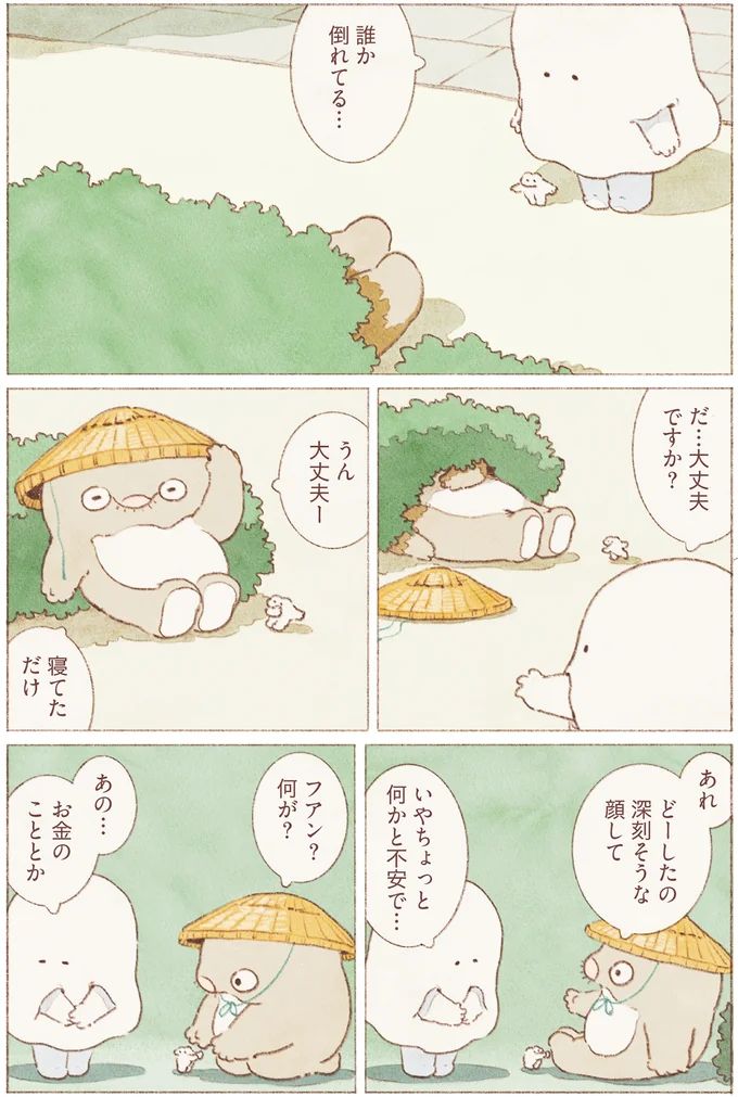 16155684.webp