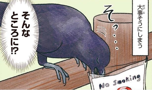 大事そうにしまう （C）piro piro piccolo／KADOKAWA