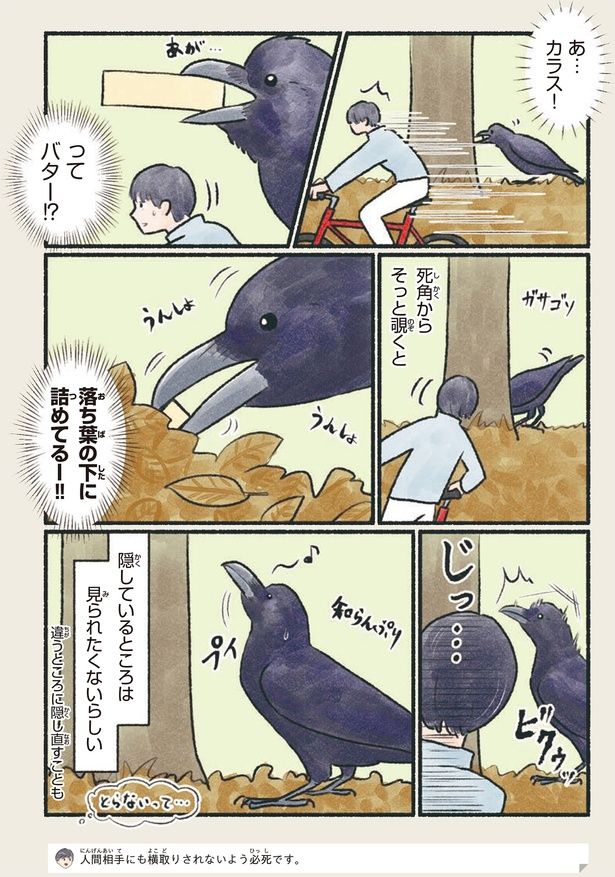 隠しているところは見られたくないらしい （C）piro piro piccolo／KADOKAWA
