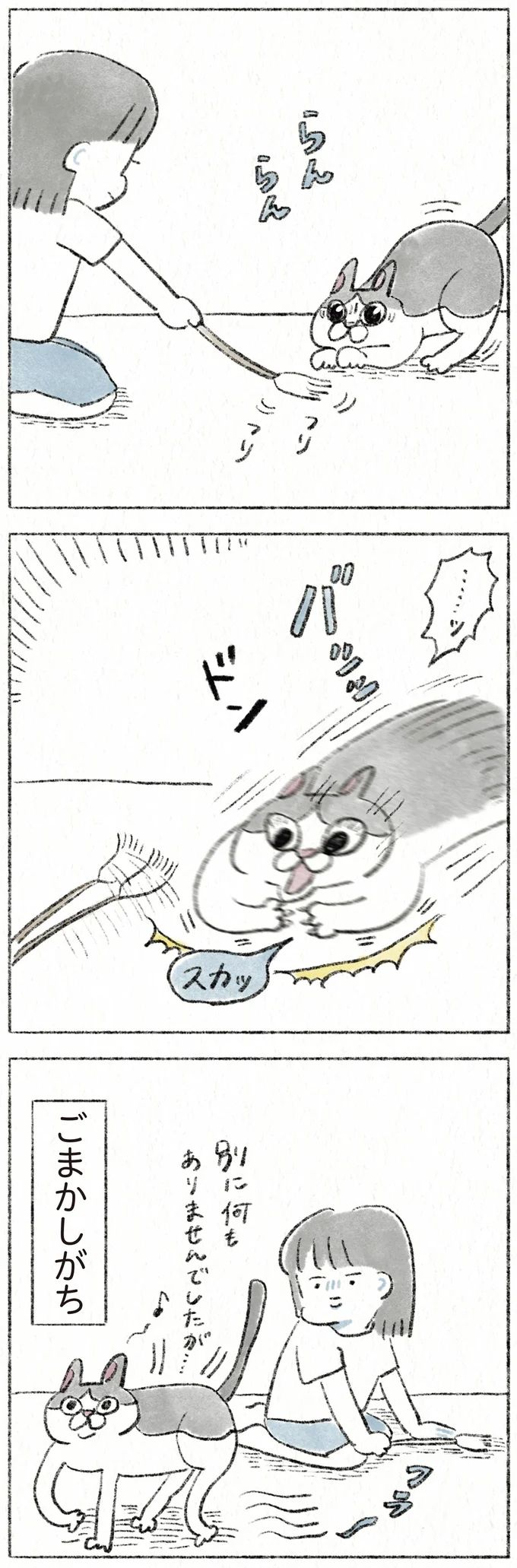 43.webp