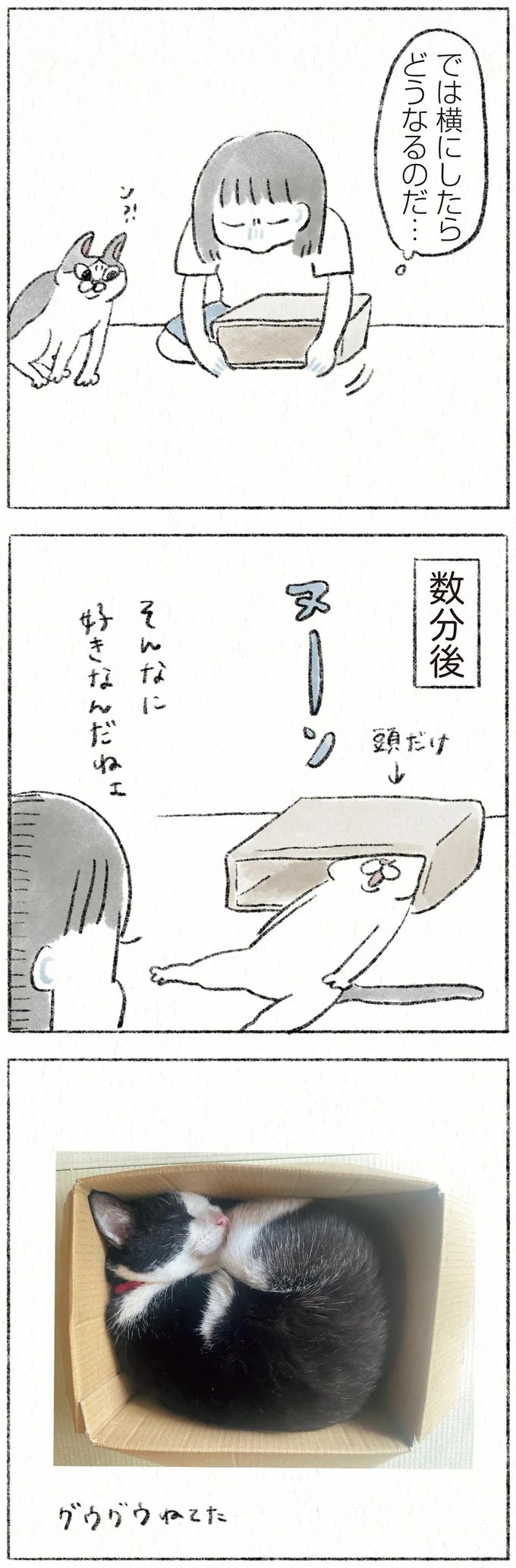 42.webp