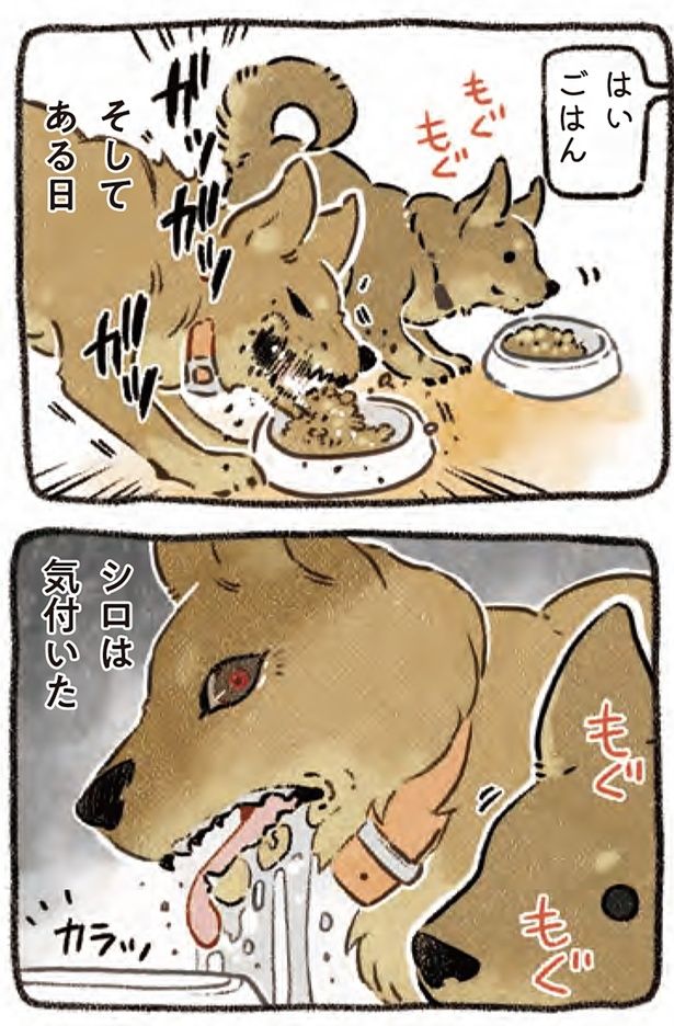 シロは気付いた （C）ヨシモフ郎／KADOKAWA