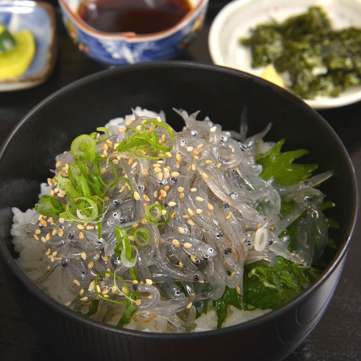 和歌山県・湯浅町 醤油発祥の地の一期一会グルメ 生しらす丼！