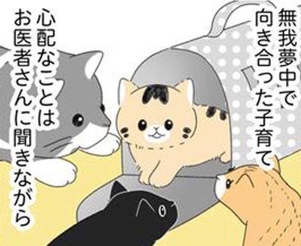 無我夢中で向き合った子育て （C）ゆきよみ、にゃんかつ／KADOKAWA