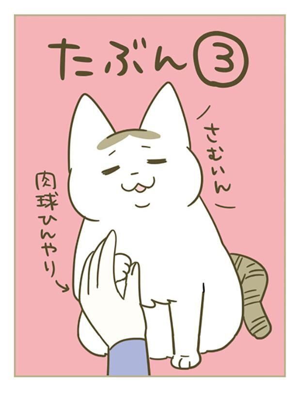 さむいん （C）卵山玉子／KADOKAWA