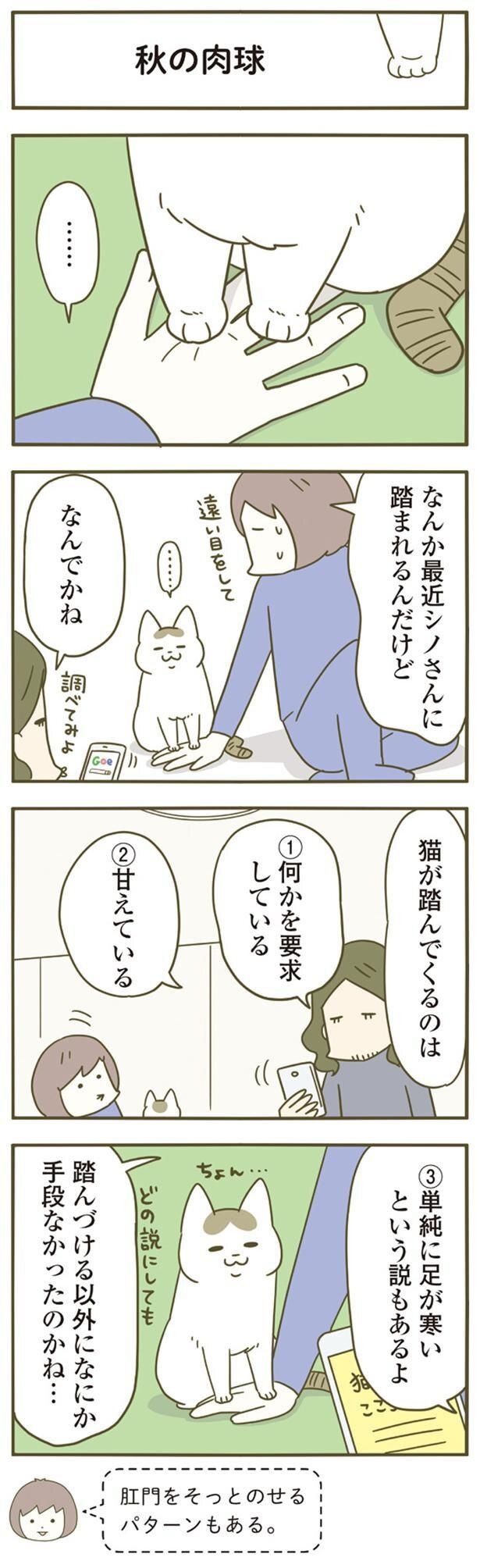 踏んづける以外になにか手段なかったのかね… （C）卵山玉子／KADOKAWA