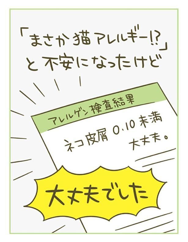 「まさか猫アレルギー！？」と不安になったけど大丈夫でした （C）卵山玉子／KADOKAWA