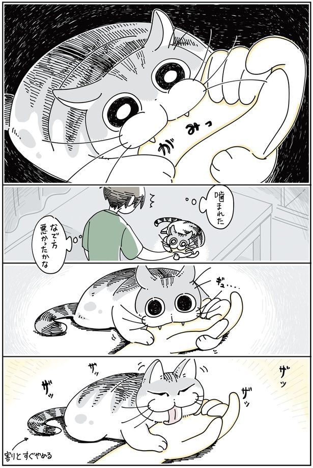 なで方悪かったかな （C）キュルZ／KADOKAWA