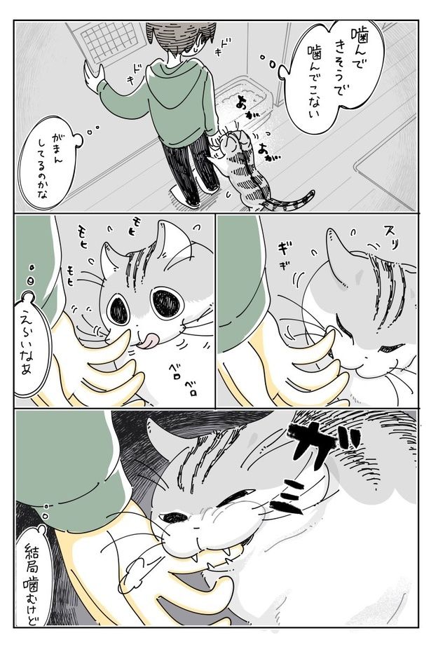 03 画像提供：キュルZ@kyuryuZ