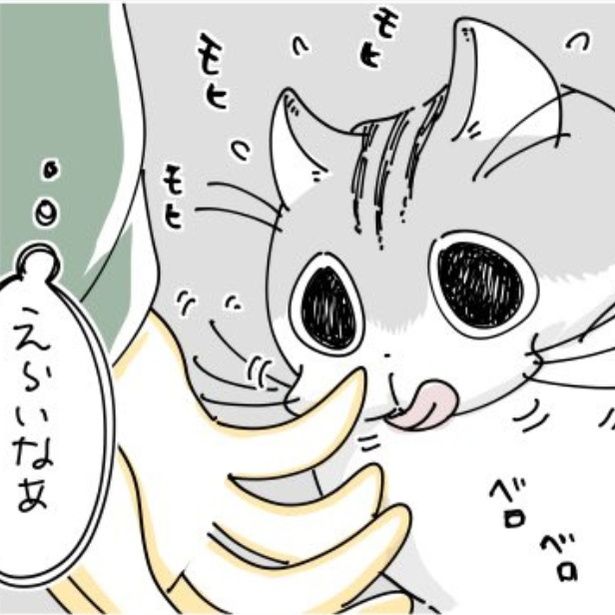 飼い主の手を舐める猫 画像提供：キュルZ@kyuryuZ