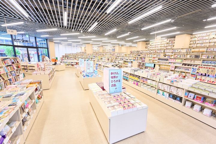 入口を入ってすぐに「知の渓谷」がお出迎え