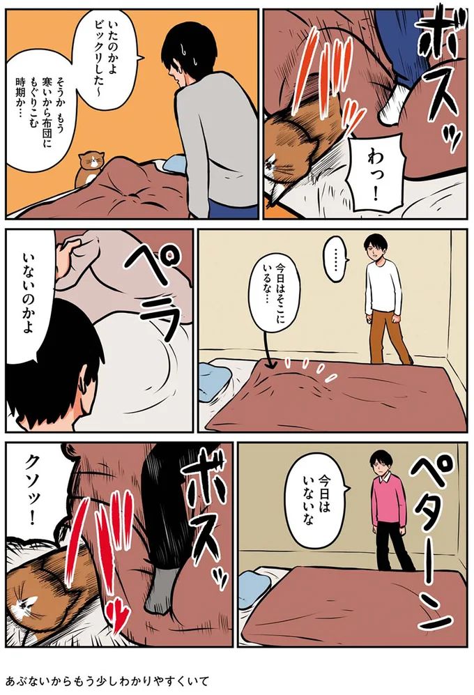 16268771.webp
