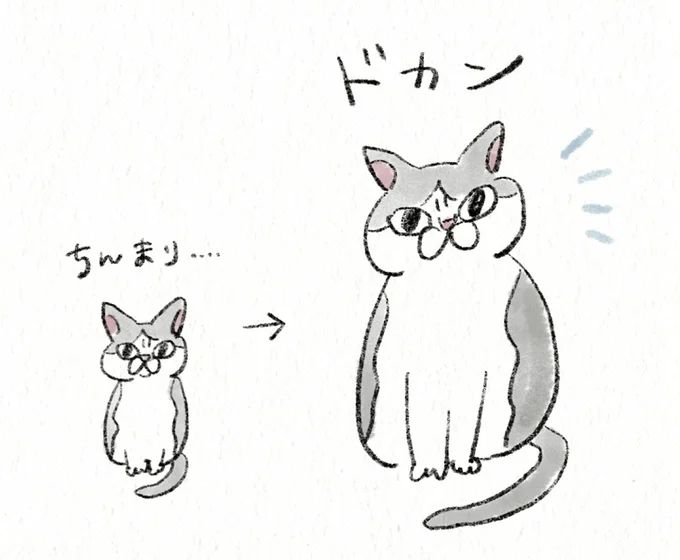 56.webp