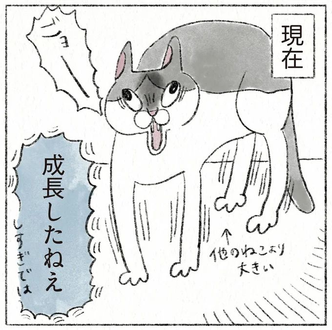 55.webp