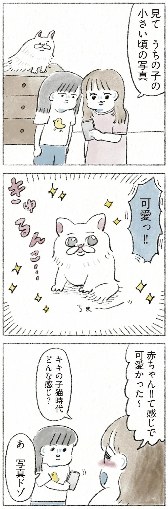 51.webp
