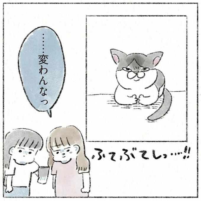 52.webp