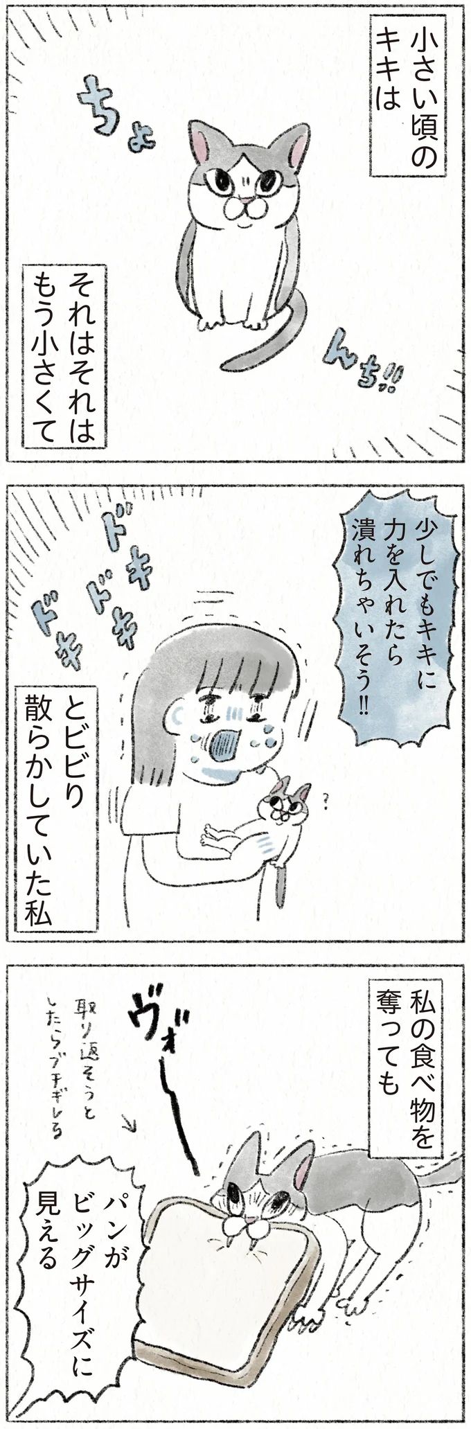54.webp