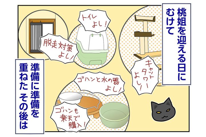 【マンガ・老猫日誌＃73】保護先のブログで桃姐は？〜思い出の老猫日誌・桃姐と小論
