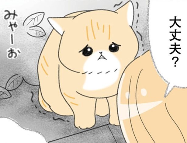 大丈夫？ （C）ゆきよみ、にゃんかつ／KADOKAWA