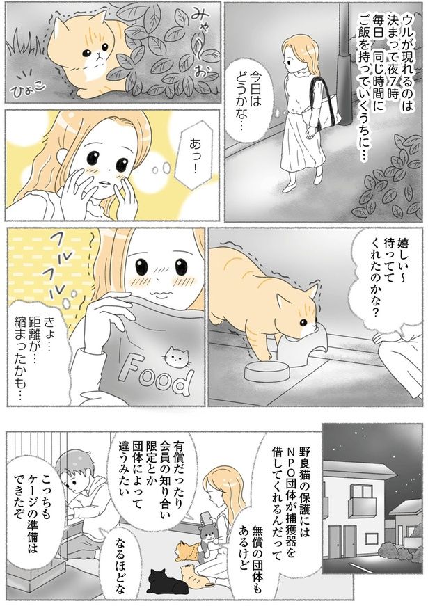 待っててくれたのかな？ （C）ゆきよみ、にゃんかつ／KADOKAWA
