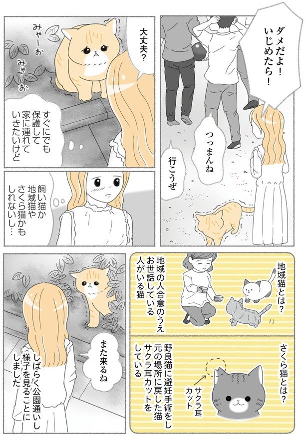 様子を見ることにしました （C）ゆきよみ、にゃんかつ／KADOKAWA