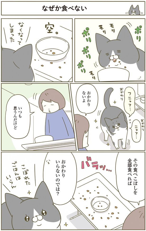 いつも思うんだけど （C）卵山玉子／KADOKAWA