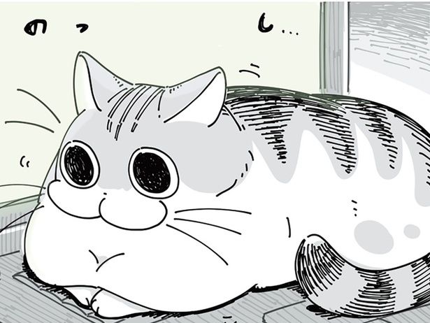 キーボードの上に… （C）キュルZ／KADOKAWA
