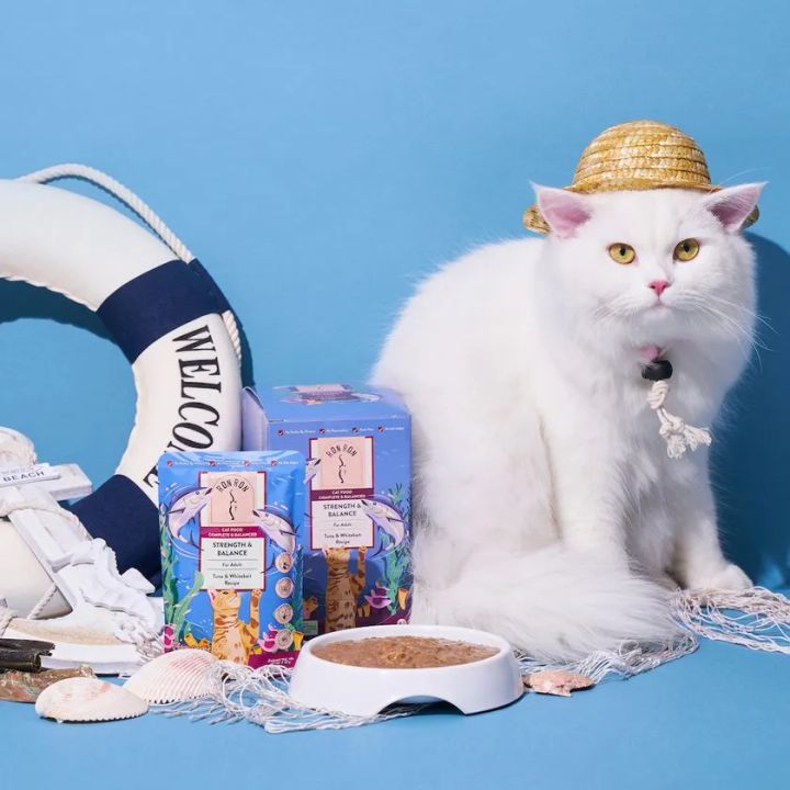 白猫とBon Bonブランドの成猫用キャットフード（ツナ＆シラス味）2箱、フードボウルをビーチ風小物とともに配置した商品ショット