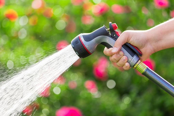 水やり