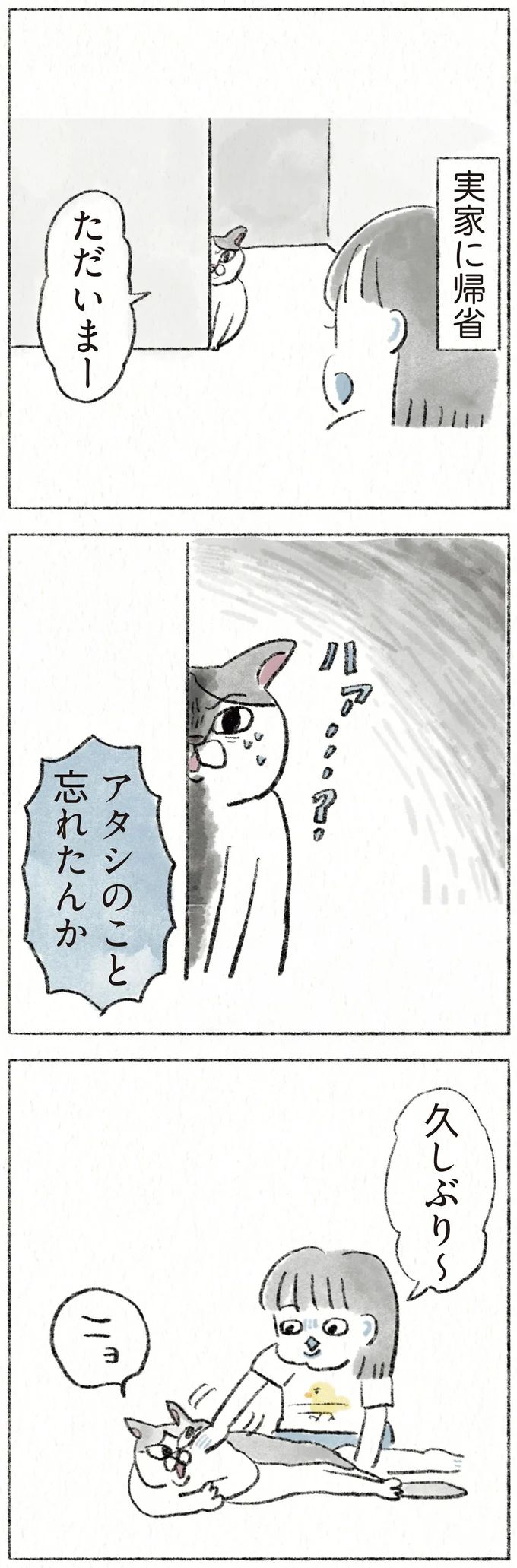 61.webp