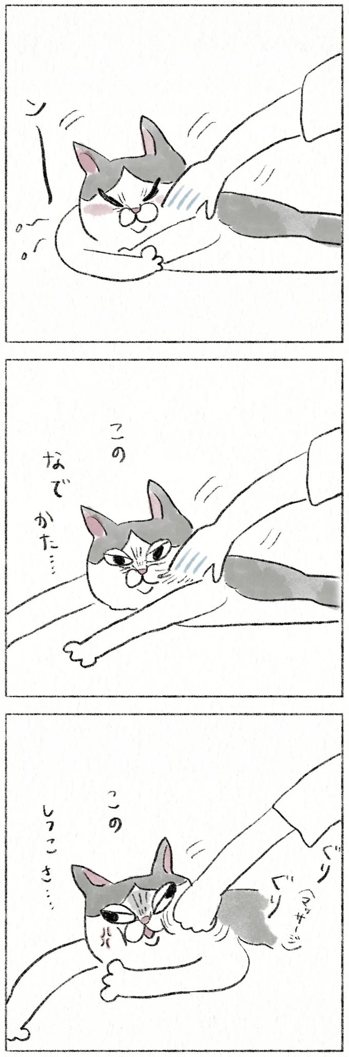 62.webp