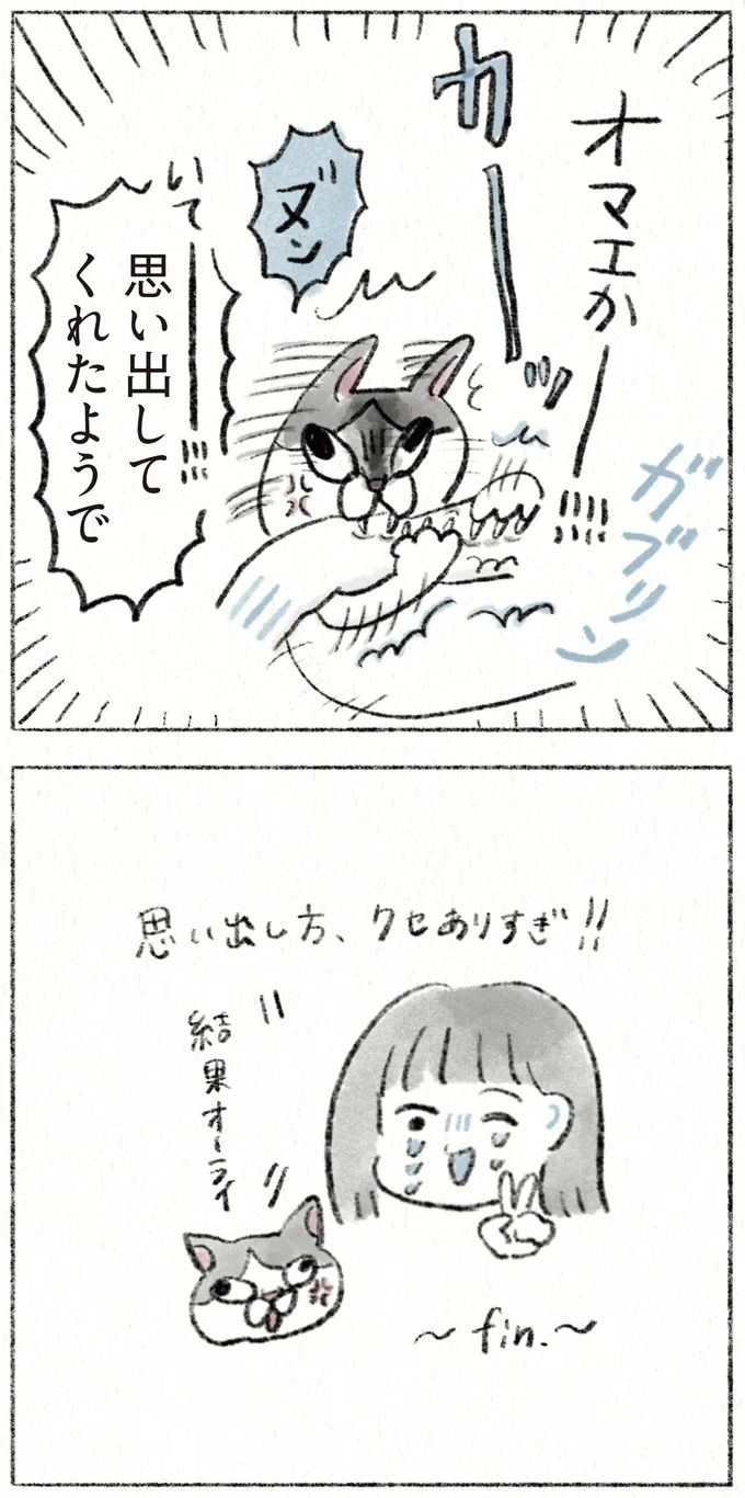 63.webp