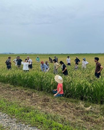 料理に混ぜるだけ！新潟県産「炒りぬか入りの素」浅漬け・ごまあえ・ナムルの3種発売
