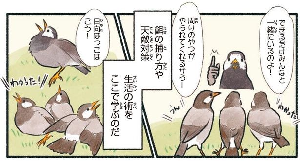 生活の術をここで学ぶのだ （C）piro piro piccolo／KADOKAWA