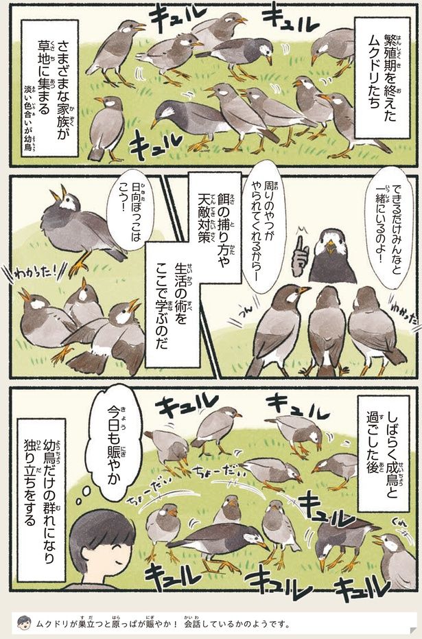 今日も賑やか （C）piro piro piccolo／KADOKAWA