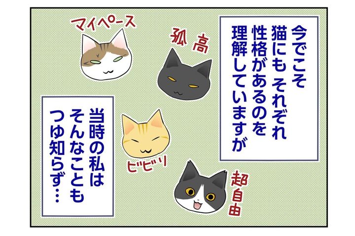 【マンガ・老猫日誌＃74】迎える前の桃姐の性格〜思い出の老猫日誌・桃姐と小論
