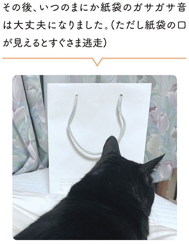 その後、いつのまにか紙袋のガサガサ音は大丈夫になりました （C）AKR／KADOKAWA