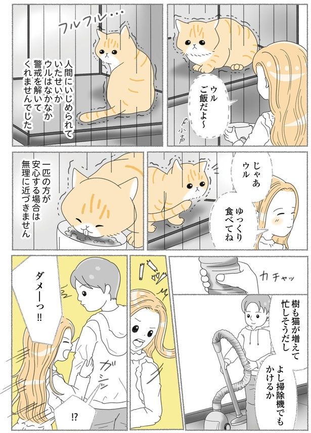 無理に近づきません （C）ゆきよみ、にゃんかつ／KADOKAWA