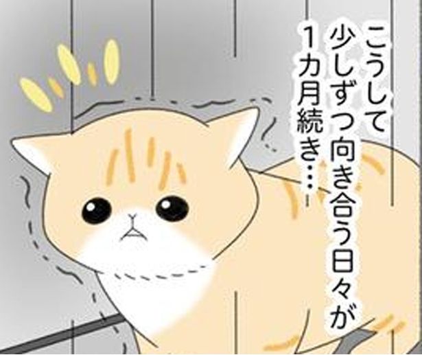 少しずつ向き合う日々 （C）ゆきよみ、にゃんかつ／KADOKAWA