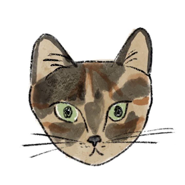 サビねこ