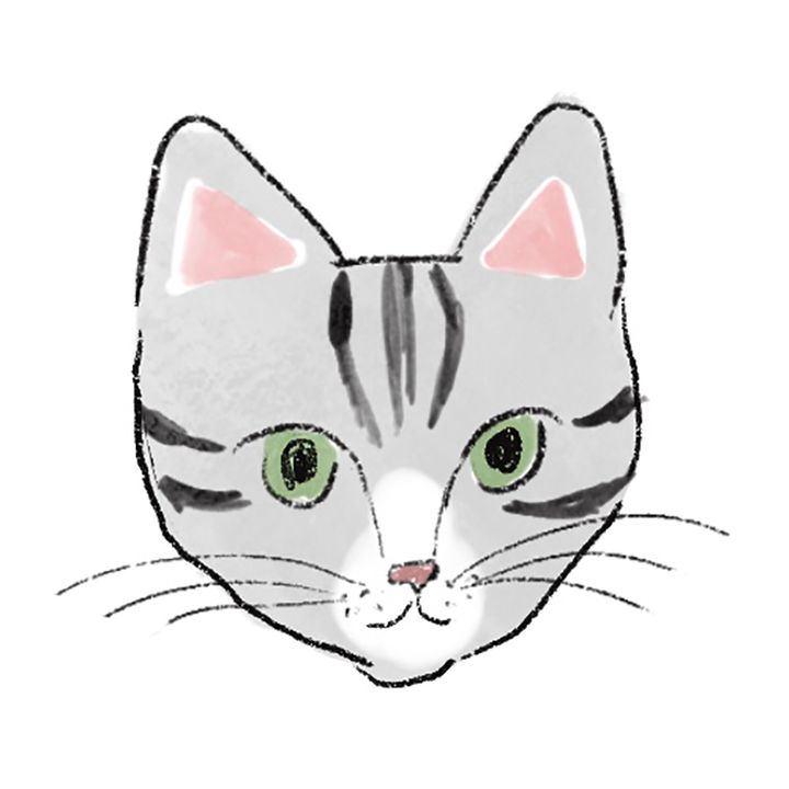 サバねこ